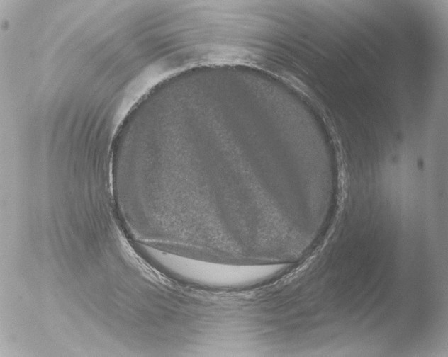 X0000051890934200507151935