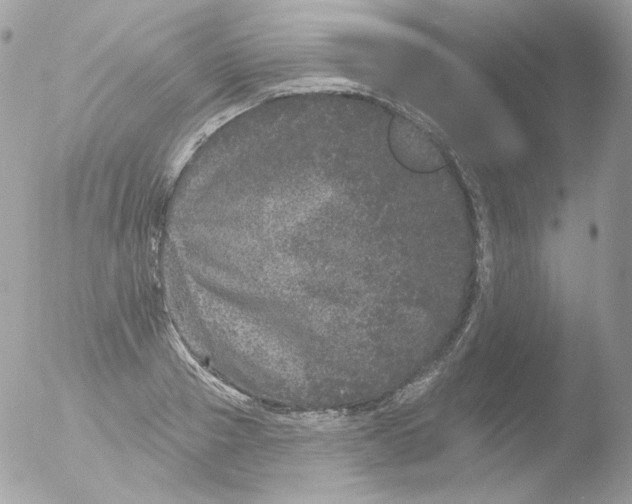 X0000051890937200507151935