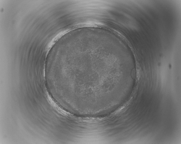 X0000051890938200507151935