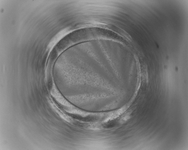 X0000051890940200507151935