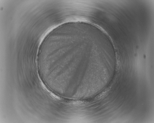 X0000051890943200507151935