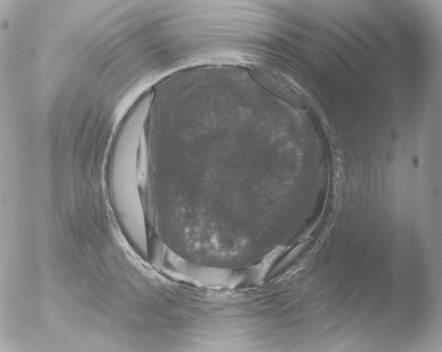 X0000051890944200507151935