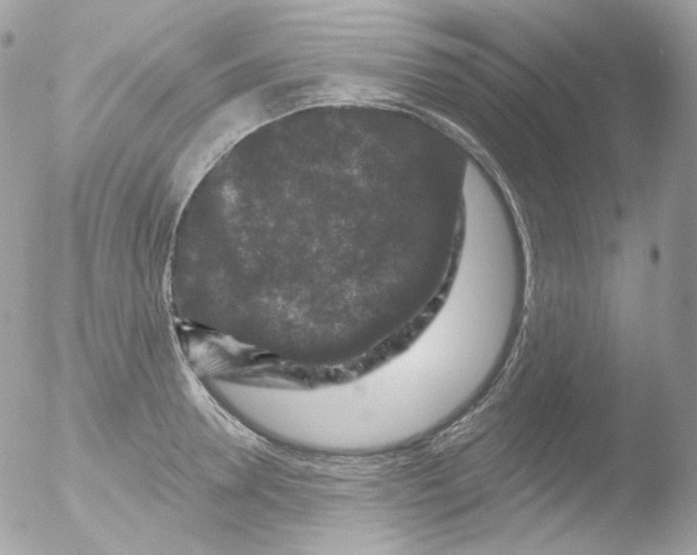 X0000051890946200507151935