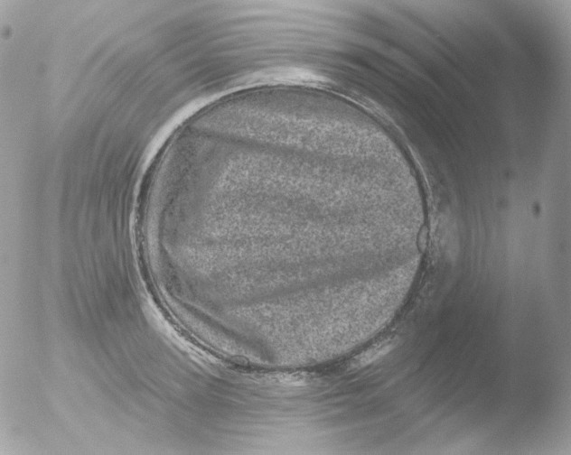 X0000051890947200507151935