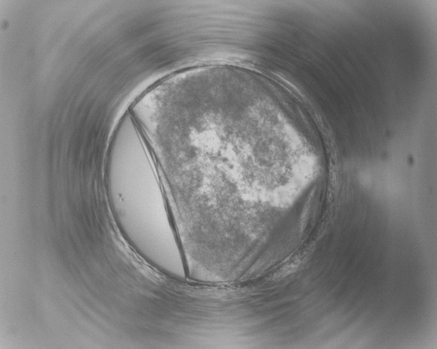 X0000051890948200507151935