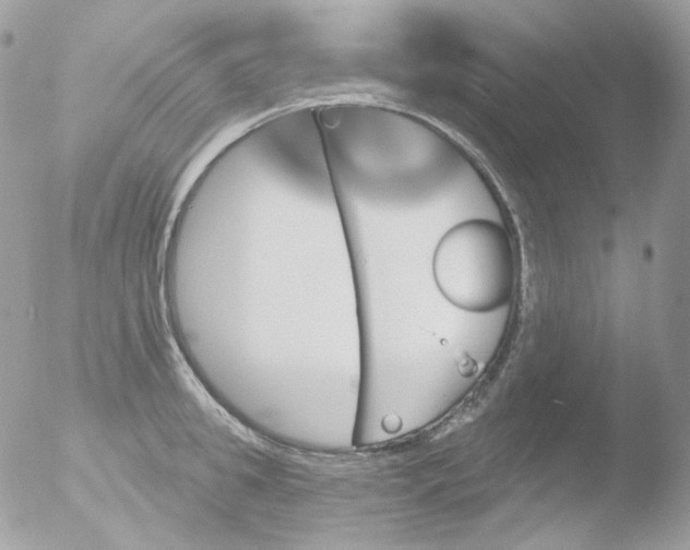 X0000051890949200507151935