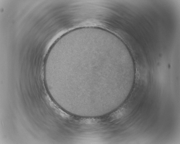 X0000051890950200507151935