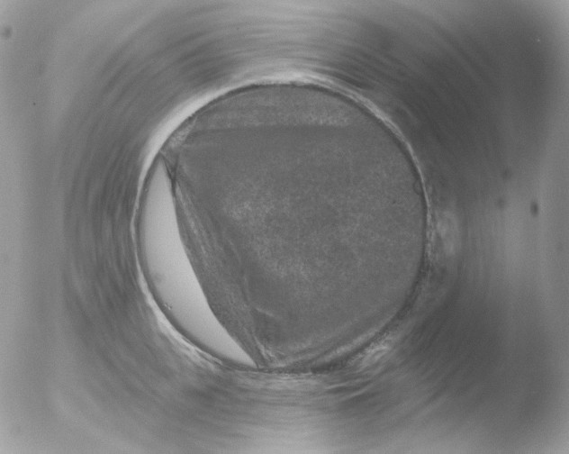 X0000051890951200507151935