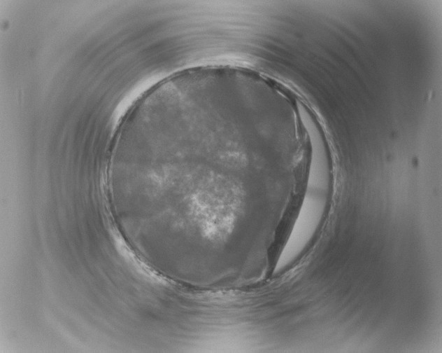 X0000051890952200507151935