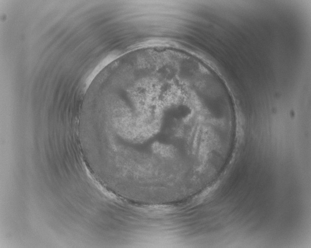 X0000051890953200507151935