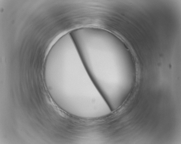 X0000051890956200507151935