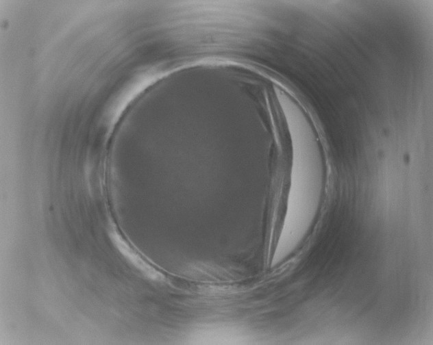 X0000051890958200507151935