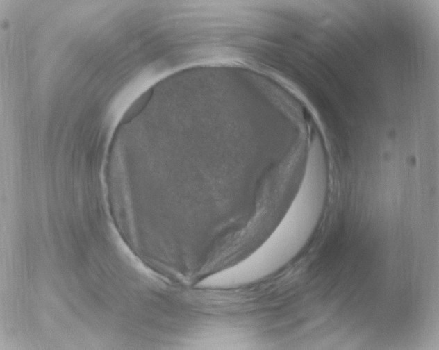 X0000051890959200507151935