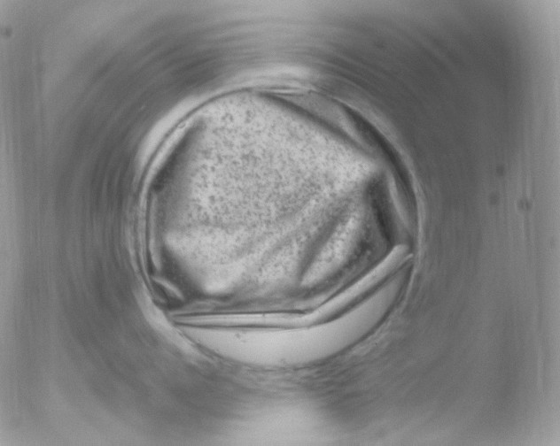 X0000051890960200507151935