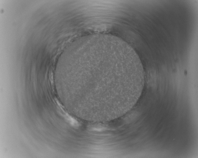 X0000051890962200507151934