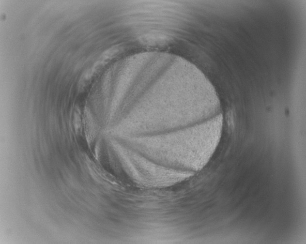 X0000051890963200507151934