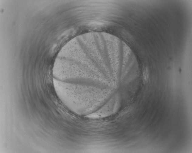 X0000051890964200507151934