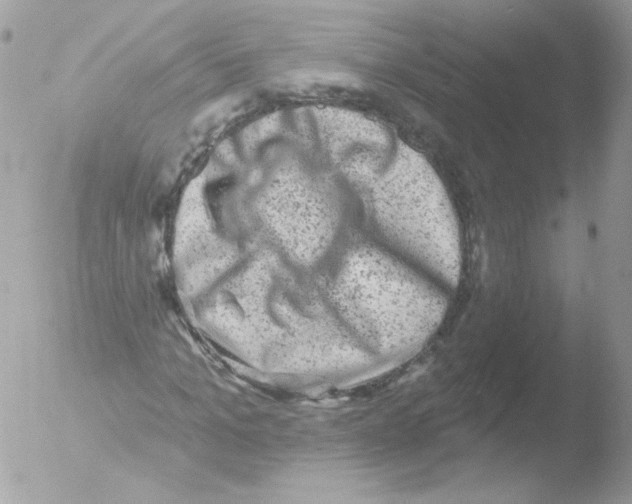 X0000051890965200507151934