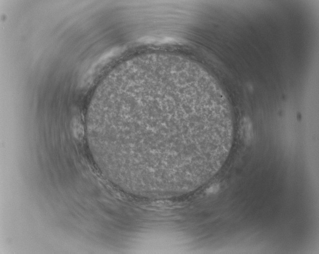 X0000051890966200507151934