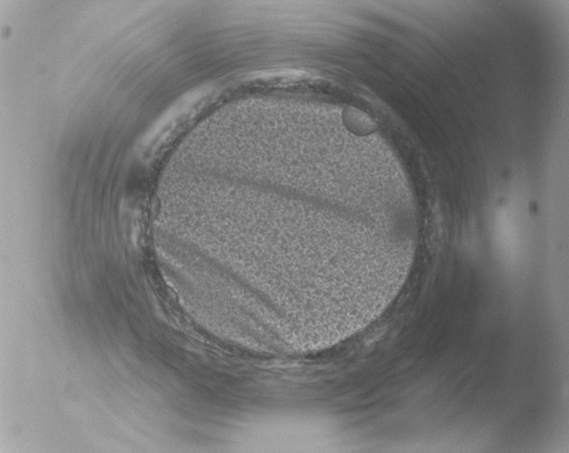 X0000051890967200507151934