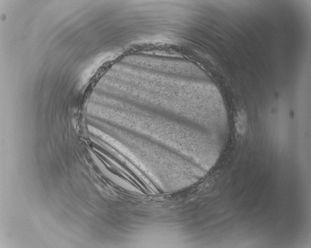 X0000051890968200507151934