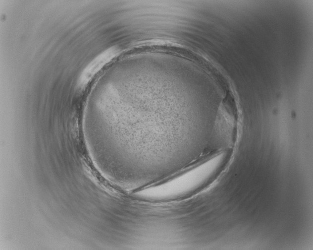 X0000051890969200507151934