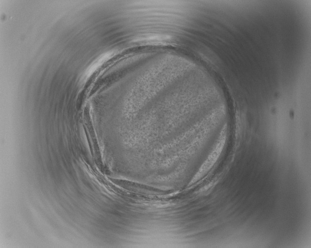 X0000051890970200507151934