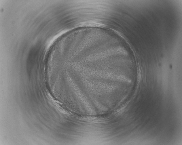 X0000051890971200507151934