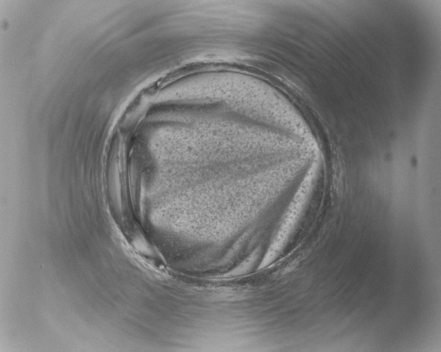 X0000051890976200507151934