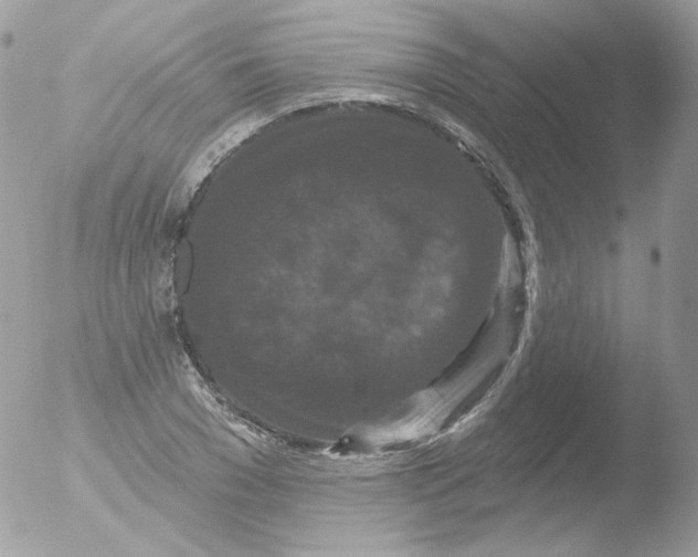 X0000051890977200507151934