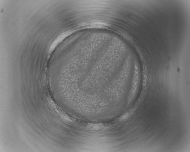 X0000051890978200507151934