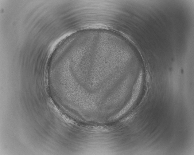 X0000051890979200507151934