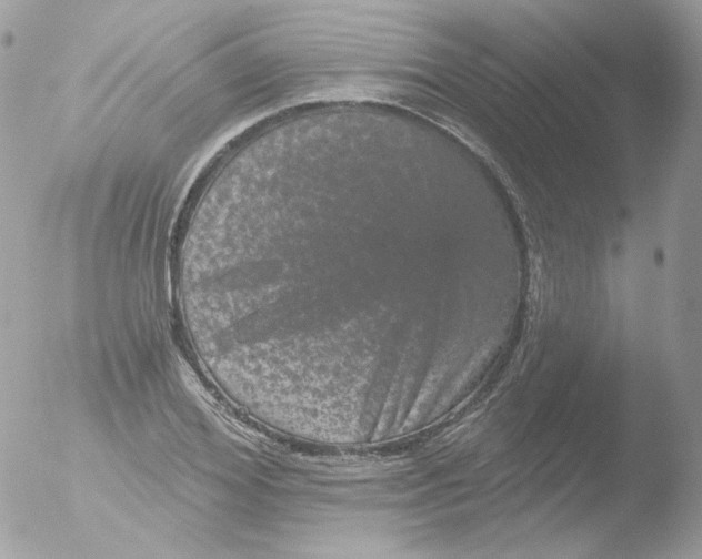 X0000051890980200507151934