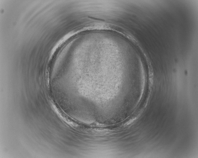 X0000051890981200507151934