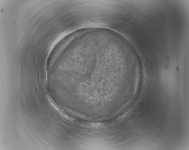 X0000051890982200507151934