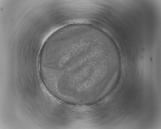 X0000051890983200507151934