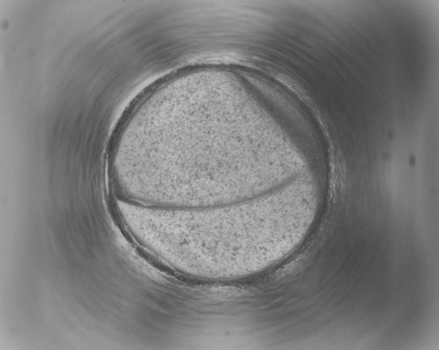 X0000051890984200507151934