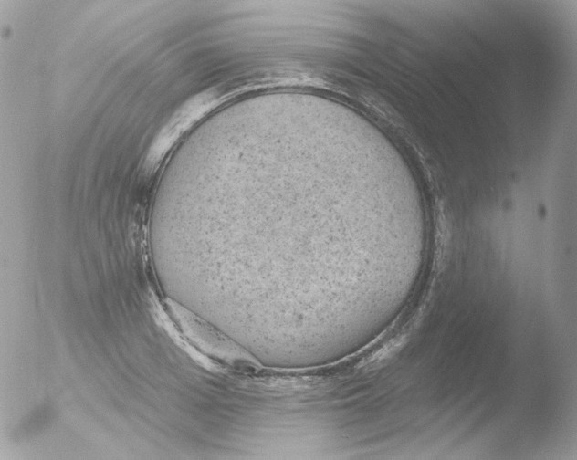 X0000051890985200507151934