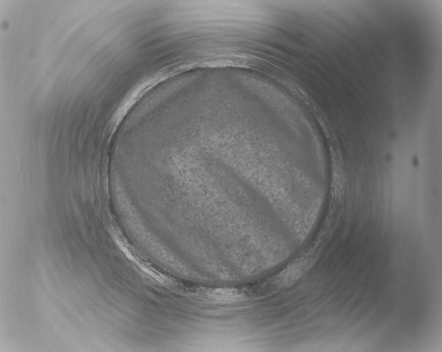 X0000051890986200507151934