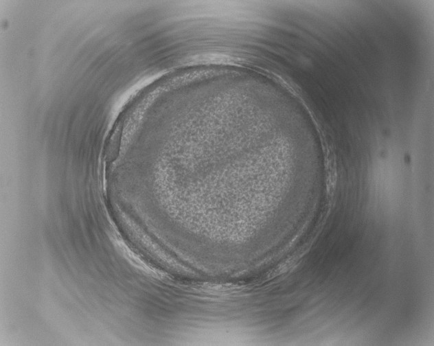 X0000051890987200507151934