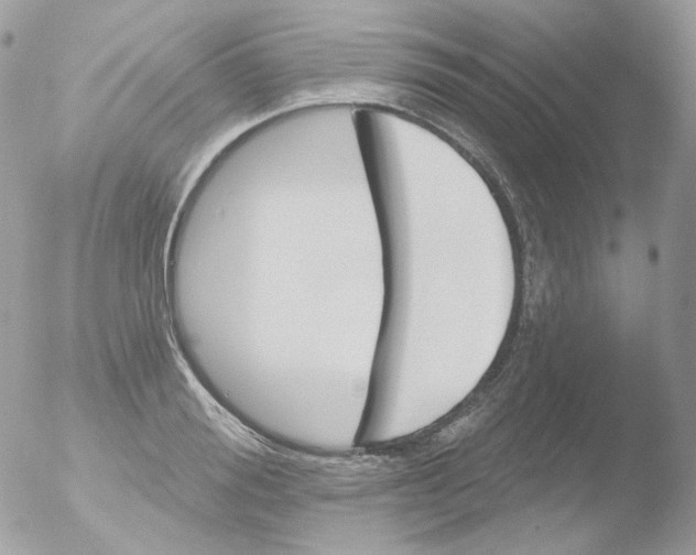 X0000051890988200507151934