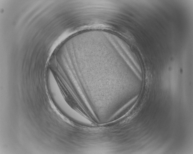 X0000051890989200507151934