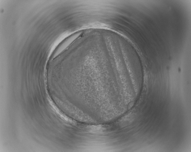 X0000051890990200507151934