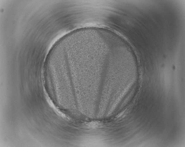 X0000051890991200507151934