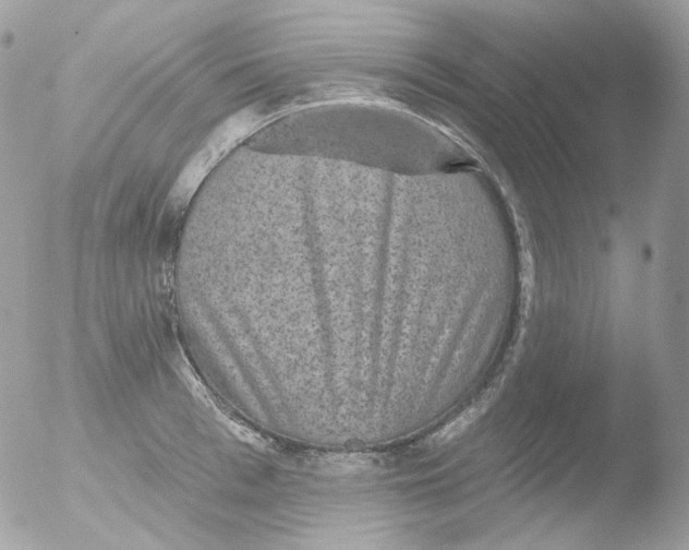 X0000051890993200507151934