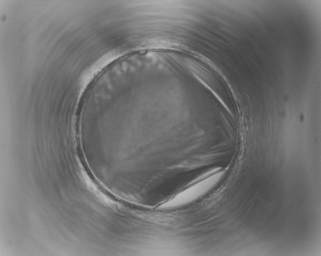 X0000051890995200507151934