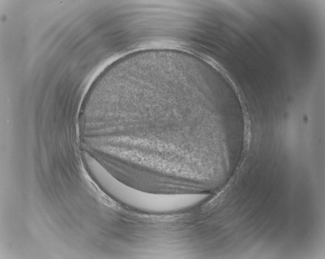 X0000051890996200507151934