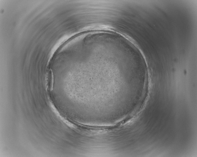 X0000051890997200507151934