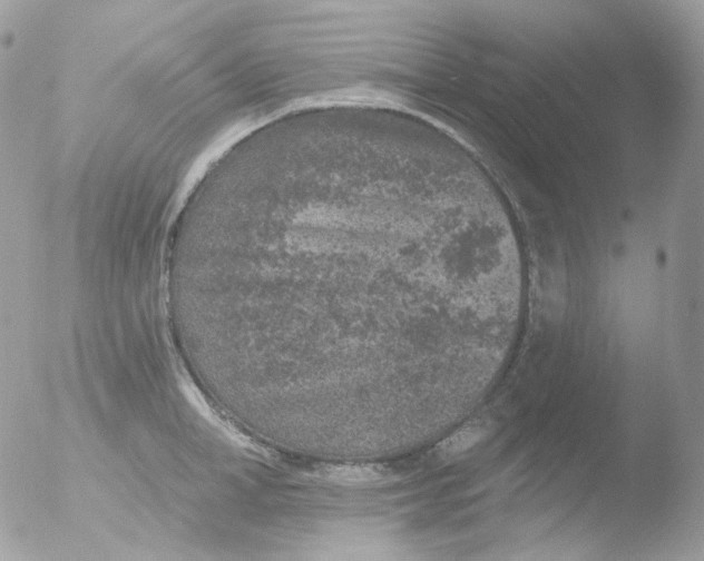 X0000051890998200507151934