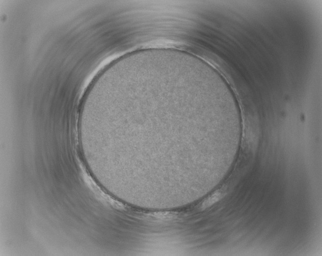 X0000051891000200507151934